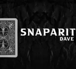 David Davis - Snaparition