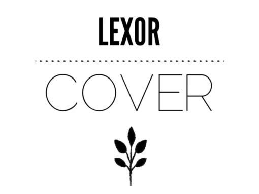 Lexor Magic - Cover ( Instant Download )