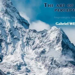 The Art of Shaping Perceptions (Impromptu Mentalism) by Gabriel Werlen ( Instant Download )