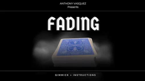 Anthony Vasquez - Fading ( Instant Download )