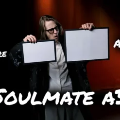 Hide & Sergey Koller - Soulmate ( Instant Download )