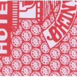 Special Report #9 June 2025 by Steve Forte ( Instant Download )