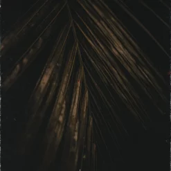 Lewis Le Val - Natural Magic ( Instant Download )