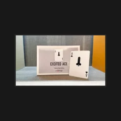 Chiam Yu Sheng Excited Ace Card Trick - Instant Download