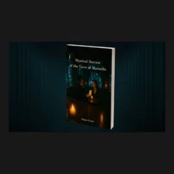 Echo Tarot de Marseille Book Test by Vincent Hedan