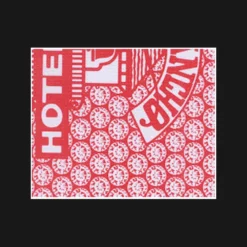 Steve Forte Special Report #9 June 2025 Cover