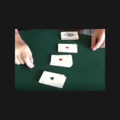 Special Report #8 May 2025 by Steve Forte