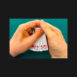 Steve Forte Special Report #7 Cover